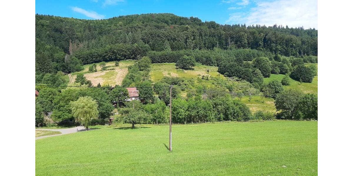 Einfamilienhaus Berghaupten - 880.000&euro; | Angebot:26991648