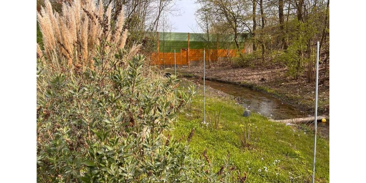 Einfamilienhaus Willstätt - 4 Zimmer, 99 m&sup2;, 450.000&euro; | Angebot:26145066