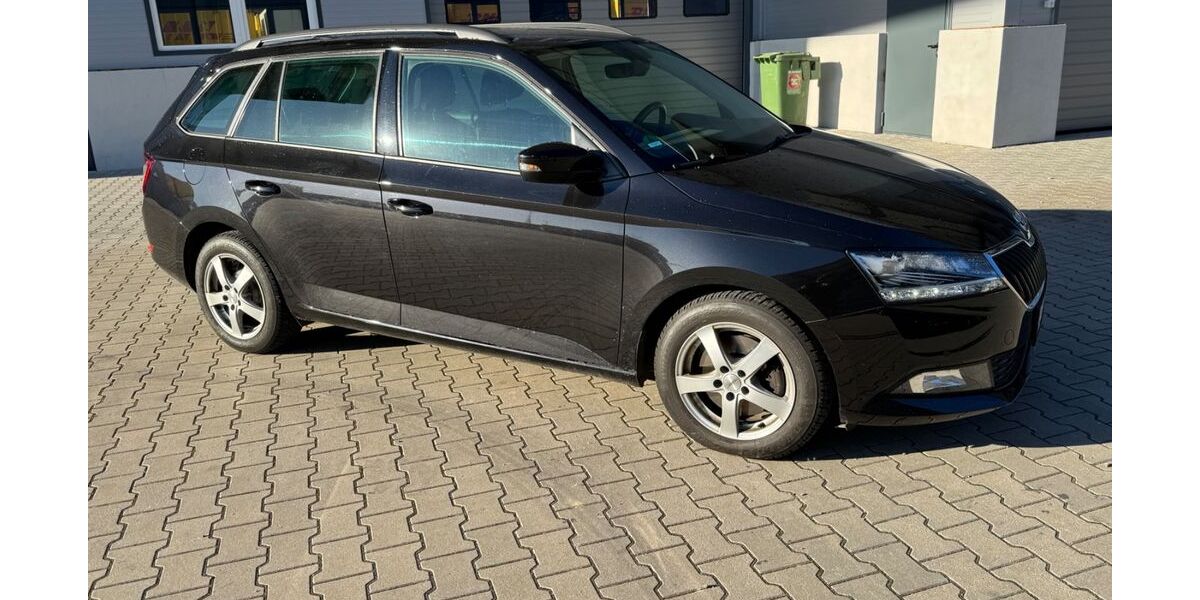 Skoda Fabia 122.689 km 12.450 &euro; Offenburg 77654