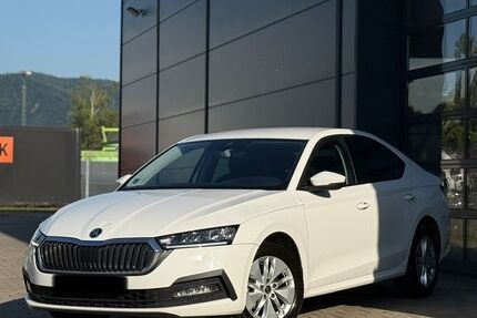 Skoda Octavia 310.000 km 11.900 &euro; Offenburg OT Nordstadt 77652
