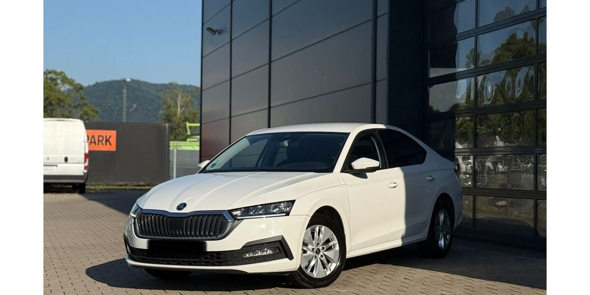 Skoda Octavia 310.000 km 11.900 &euro; Offenburg OT Nordstadt 77652