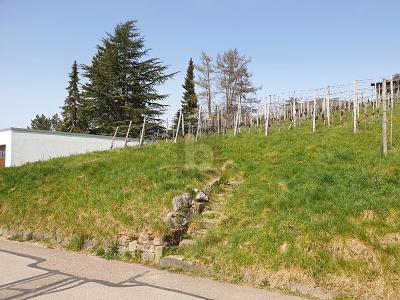 AUSSICHT & LEBENSQUALITÄT - Grundstück Bühlertal | Angebot:25850459