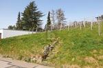AUSSICHT & LEBENSQUALITÄT - Grundstück Bühlertal | Angebot:25850459