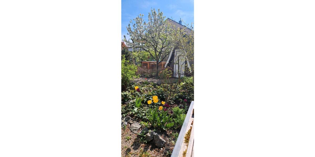 Einfamilienhaus Meißenheim - 7 Zimmer, 220 m&sup2;, 555.000&euro; | Angebot:26111676