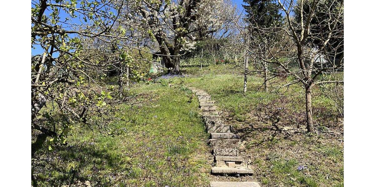 Mehrfamilienhaus, Wohnhaus Hohberg Hofweier - 6 Zimmer, 173 m&sup2;, 538.000&euro; | Angebot:26094029