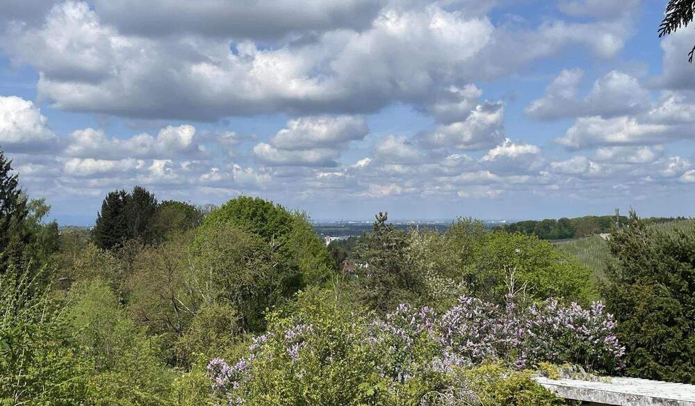 Grundstück Offenburg Zell-Weierbach - 550.000&euro; | Angebot:25850163