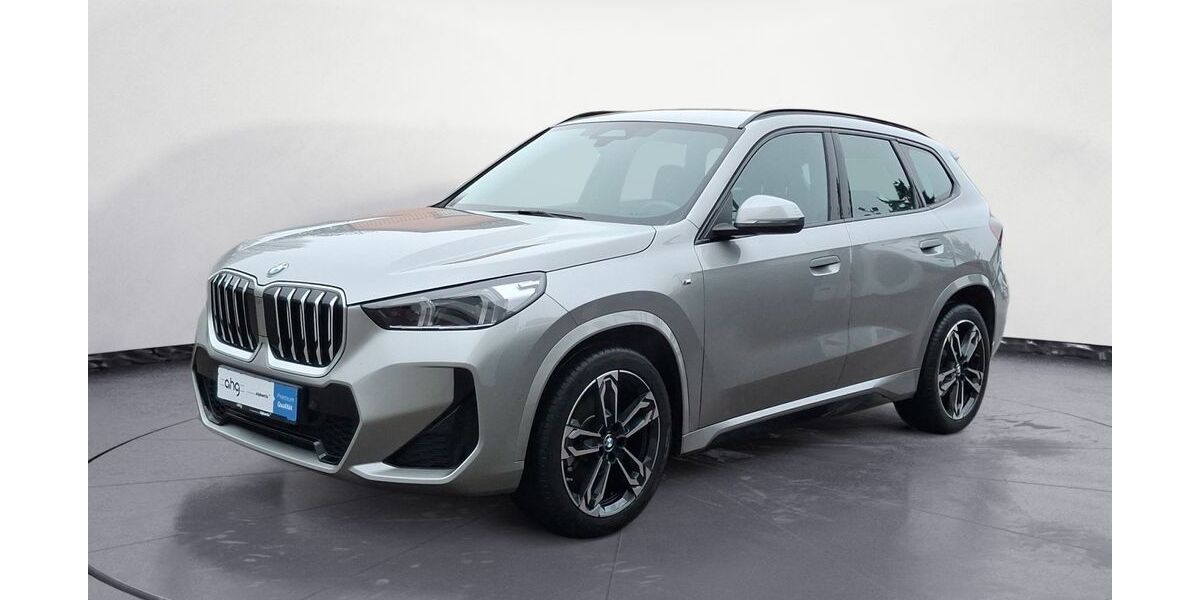 BMW X1 32.018 km 40.520 &euro; Lahr 77933