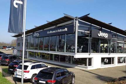 Chrysler Grand Voyager 181.900 km 9.900 &euro; Bühl 77815