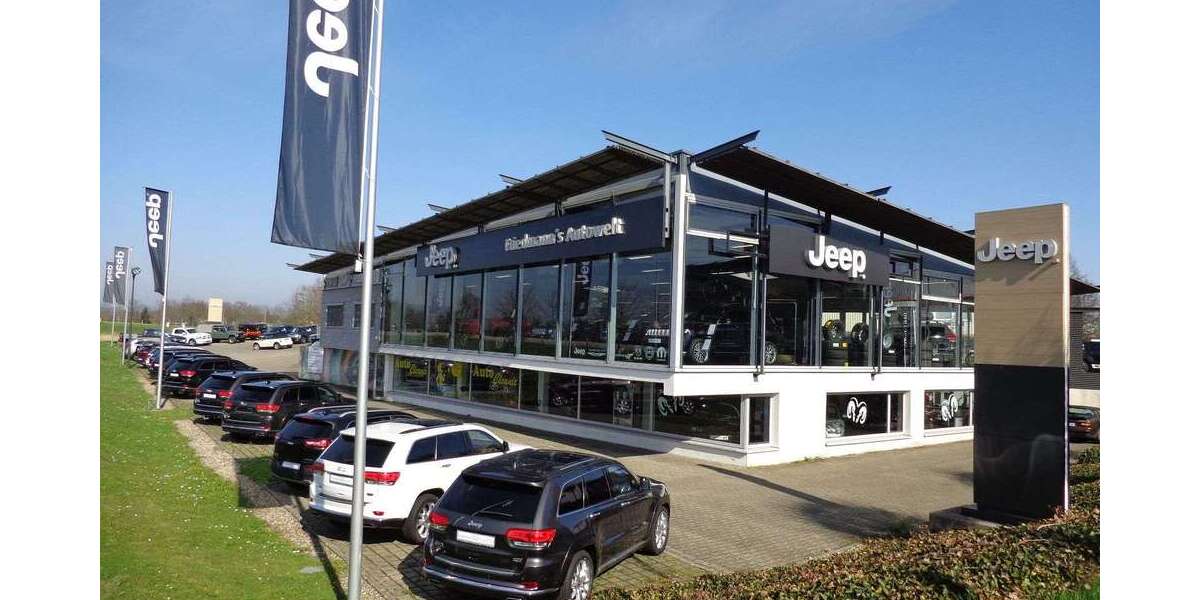 Chrysler Grand Voyager 181.900 km 9.900 &euro; Bühl 77815