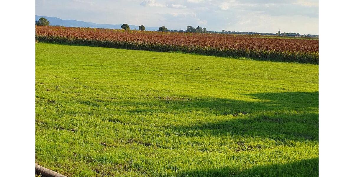 Einfamilienhaus Lauf - 4 Zimmer, 137 m&sup2;, 449.000&euro; | Angebot:26048980