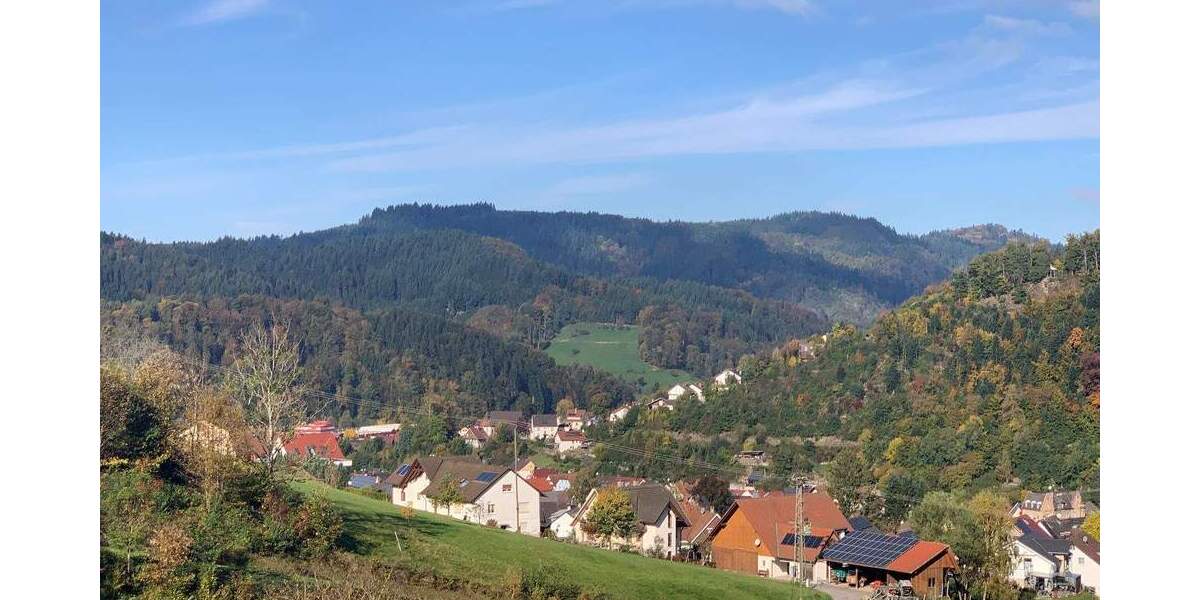 Mehrfamilienhaus, Wohnhaus Oppenau - 675.000&euro; | Angebot:25662414