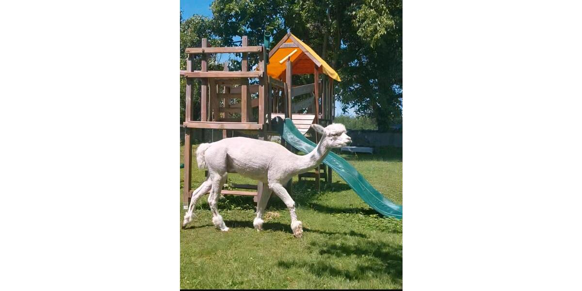 Gewerbeobjekt Neuried - 25&euro; | Angebot:21546900