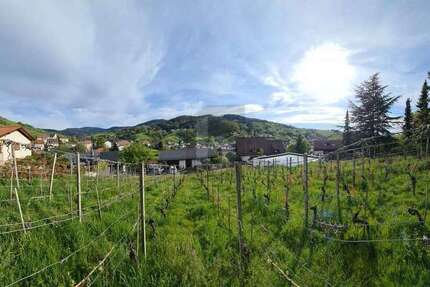 Grundstück Bühlertal - 294.000&euro; | Angebot:26219165