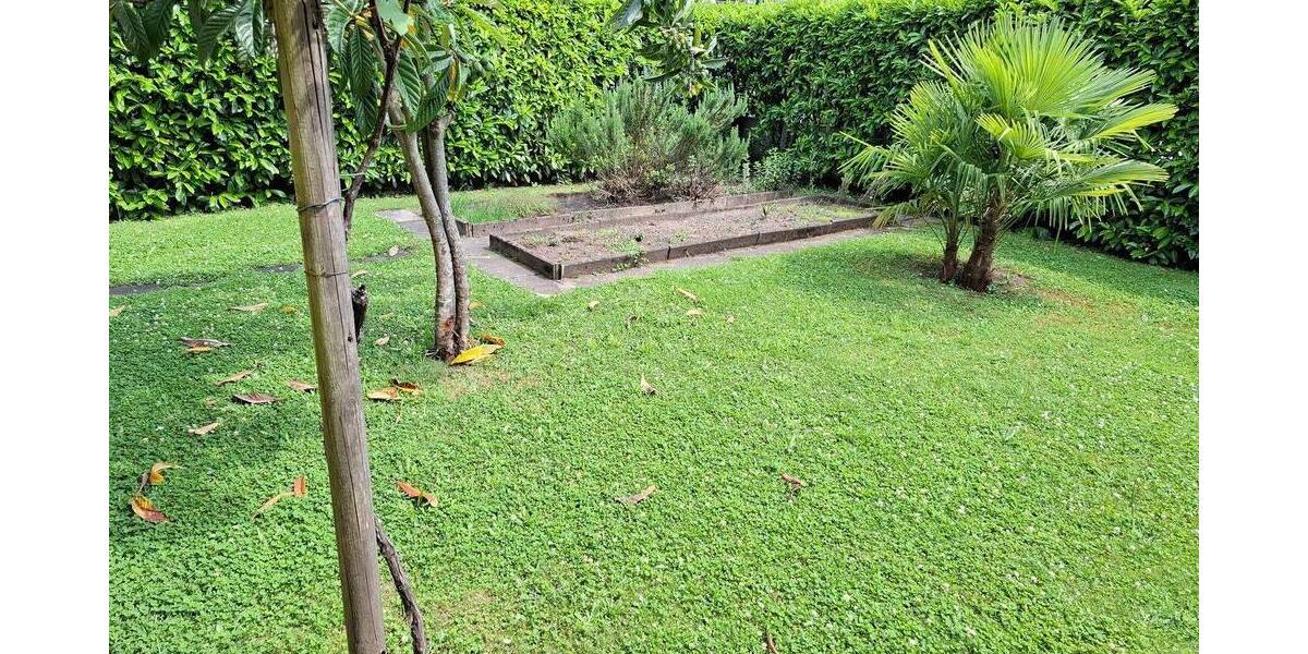 Einfamilienhaus Haslach im Kinzigtal - 6 Zimmer, 165 m&sup2;, 600.000&euro; | Angebot:25779977