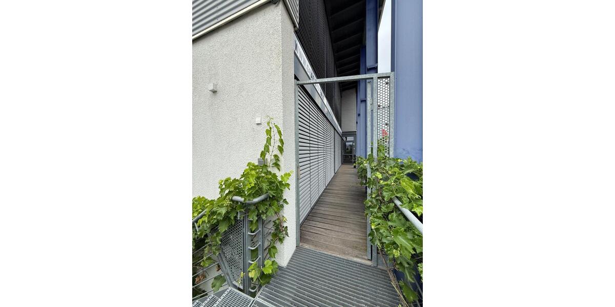 Gewerbeobjekt Offenburg Rammersweier - 2.880&euro; | Angebot:22642950