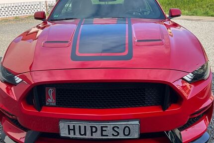 Ford Mustang 48.000 km 29.190 &euro; Friesenheim 77948