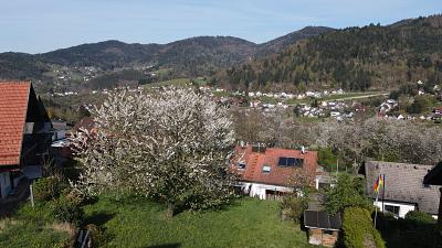 IDYLLE IN NATUR UND STADT - Grundstück Bühlertal | Angebot:27247101