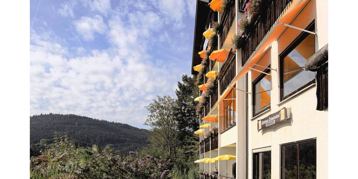 Mehrfamilienhaus, Wohnhaus Bad Peterstal-Griesbach Bad Peterstal - 3 Zimmer, 2 m&sup2;, 799.000&euro; | Angebot:25695539