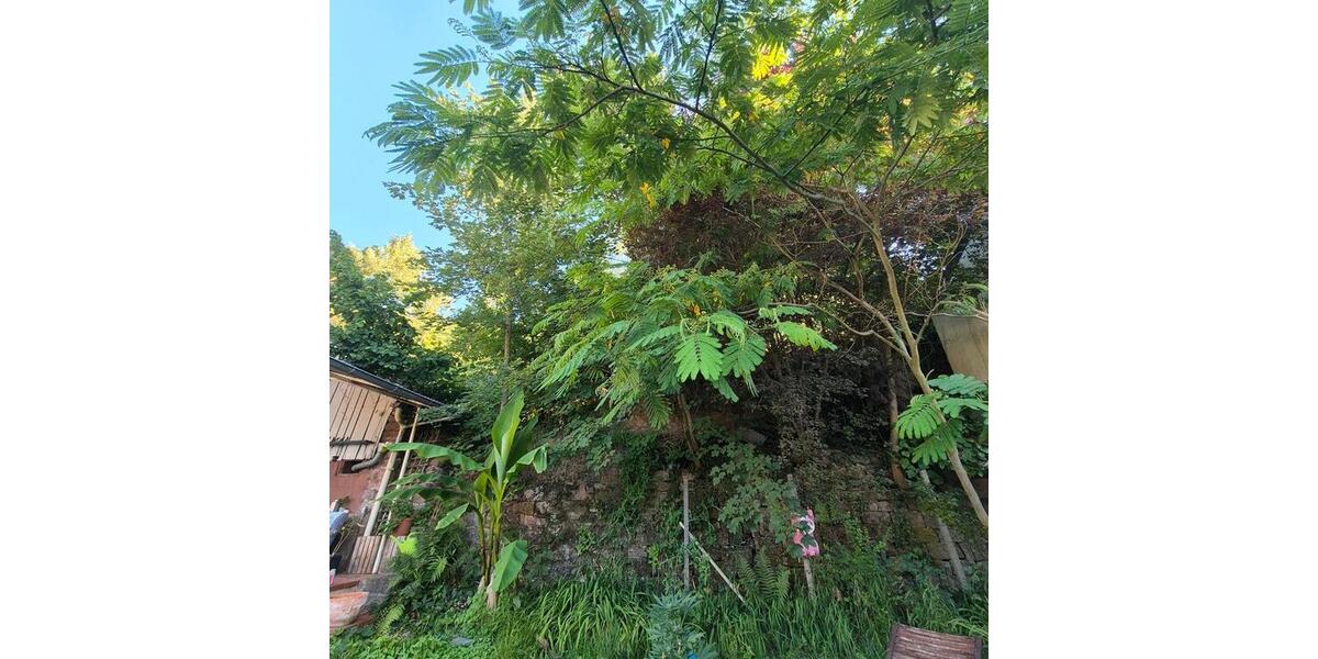 Einfamilienhaus Lahr (Schwarzwald) - 3 Zimmer, 160 m&sup2;, 280.000&euro; | Angebot:26931696