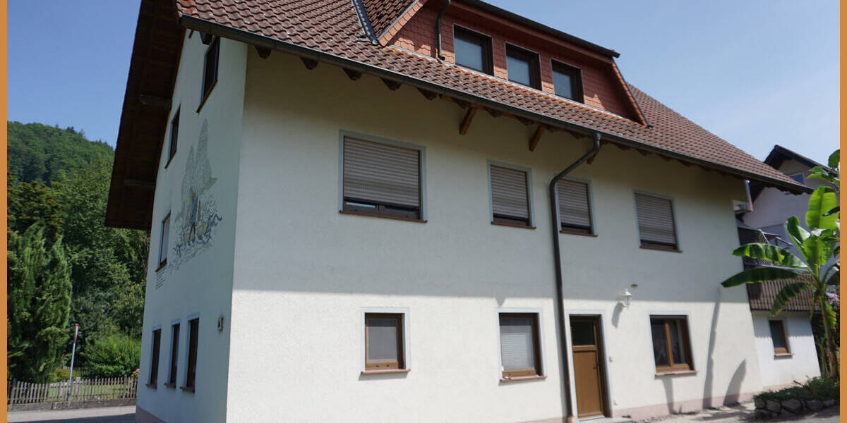 Mehrfamilienhaus, Wohnhaus Steinach - 1 Zimmer, 306 m&sup2;, 645.000&euro; | Angebot:25689018
