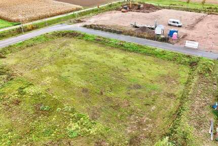 Grundstück Ettenheim - 199.000&euro; | Angebot:25444235