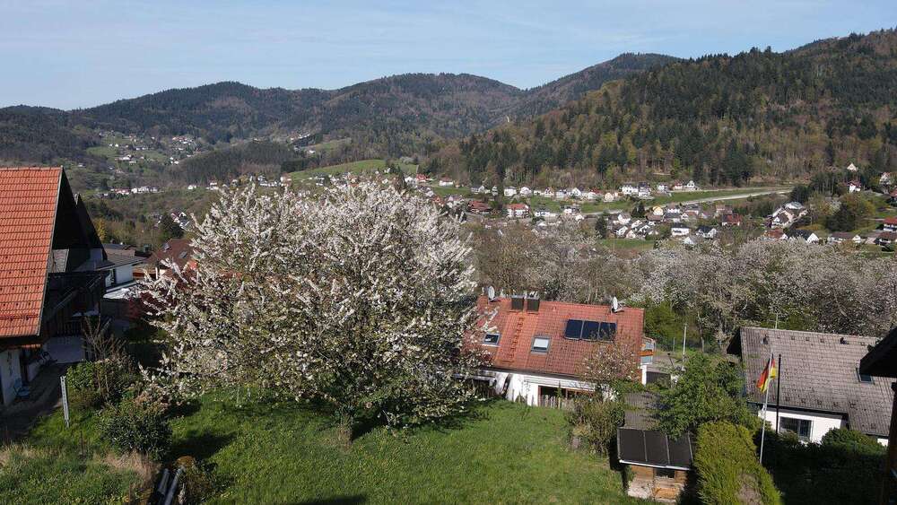 Grundstück Bühlertal - 235.000&euro; | Angebot:26966975