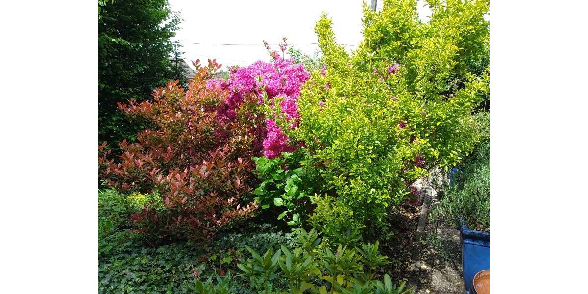 Einfamilienhaus Ortenberg - 5 Zimmer, 200 m&sup2;, 695.000&euro; | Angebot:25701461