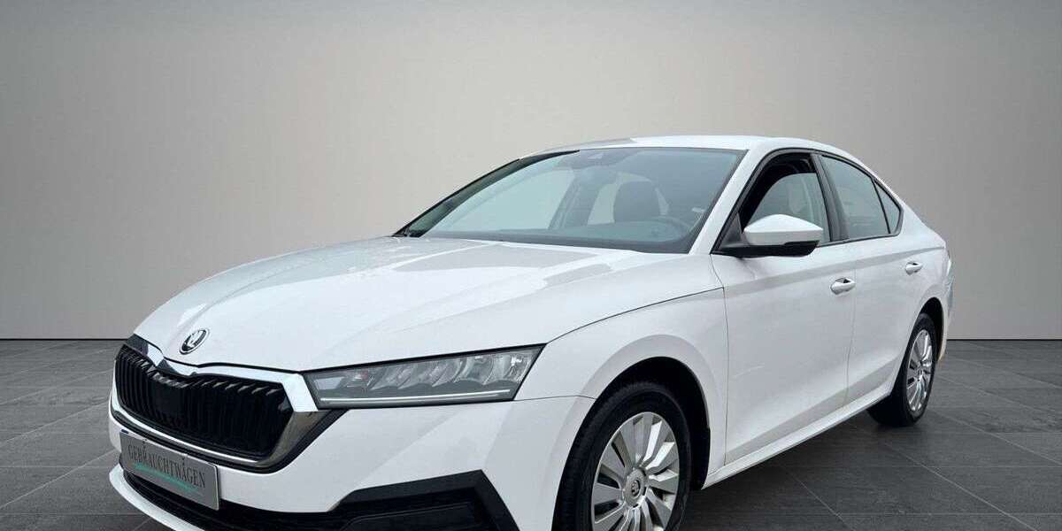 Skoda Octavia 350.000 km 12.900 &euro; Lahr-Langenwinkel 77933