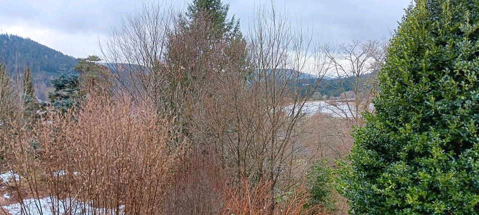 Einfamilienhaus Kehl - 8 Zimmer, 160 m&sup2;, 300.000&euro; | Angebot:24688083