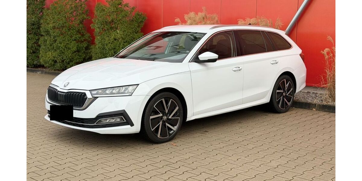 Skoda Octavia 230.000 km 17.500 &euro; OFFENBURG 77652