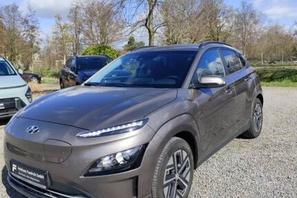 Hyundai KONA Elektro 37.500 km 19.900 &euro; Offenburg 77652