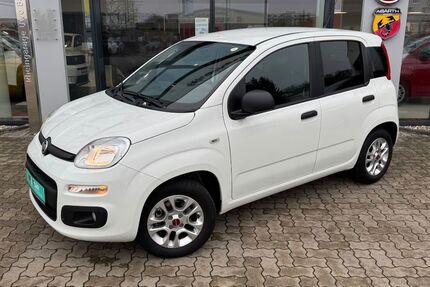 Fiat Panda 12.525 km 9.990 &euro; Kehl am Rhein 77694
