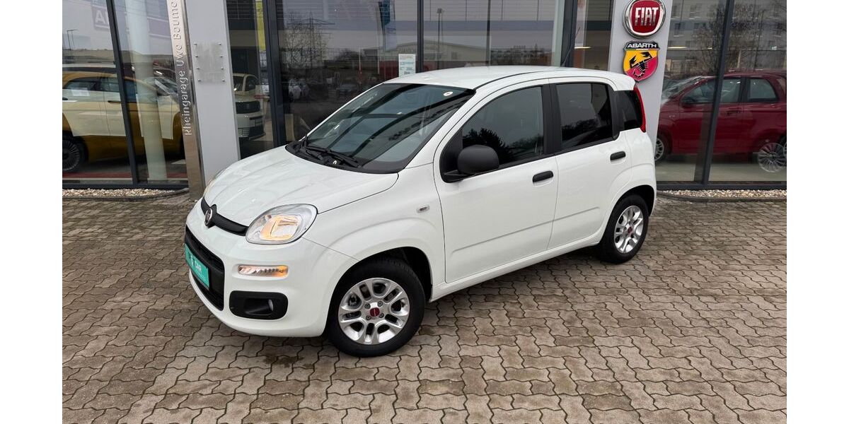 Fiat Panda 12.525 km 9.990 &euro; Kehl am Rhein 77694