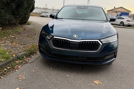 Skoda Octavia 250.000 km 11.900 &euro; Kippenheim 77971