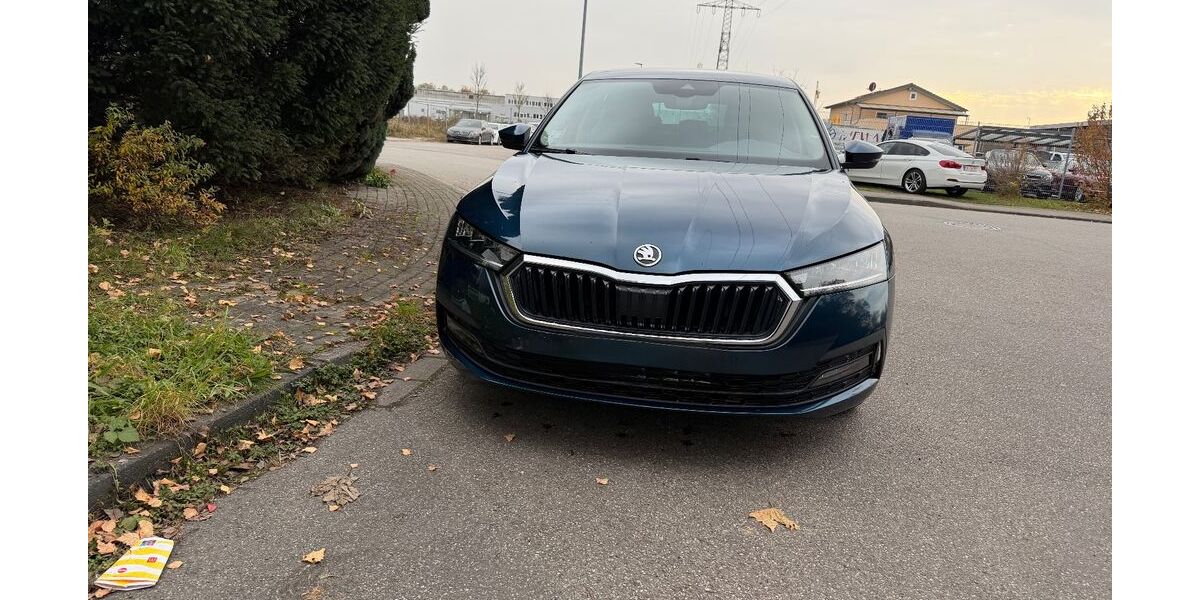 Skoda Octavia 250.000 km 11.900 &euro; Kippenheim 77971