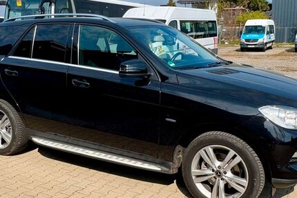 Mercedes-Benz ML 250 176.416 km 15.000 &euro; Neuried-Dundenheim 77743