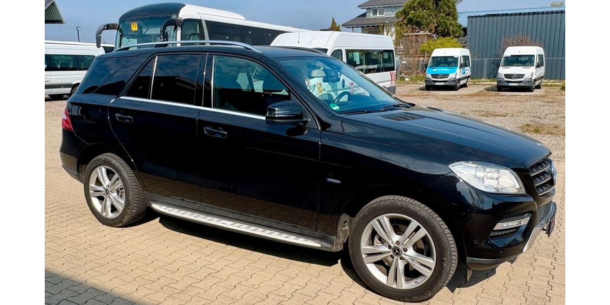 Mercedes-Benz ML 250 176.416 km 15.000 &euro; Neuried-Dundenheim 77743