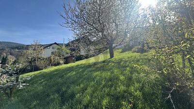 IDYLLE IN NATUR UND STADT - Grundstück Bühlertal | Angebot:27247101