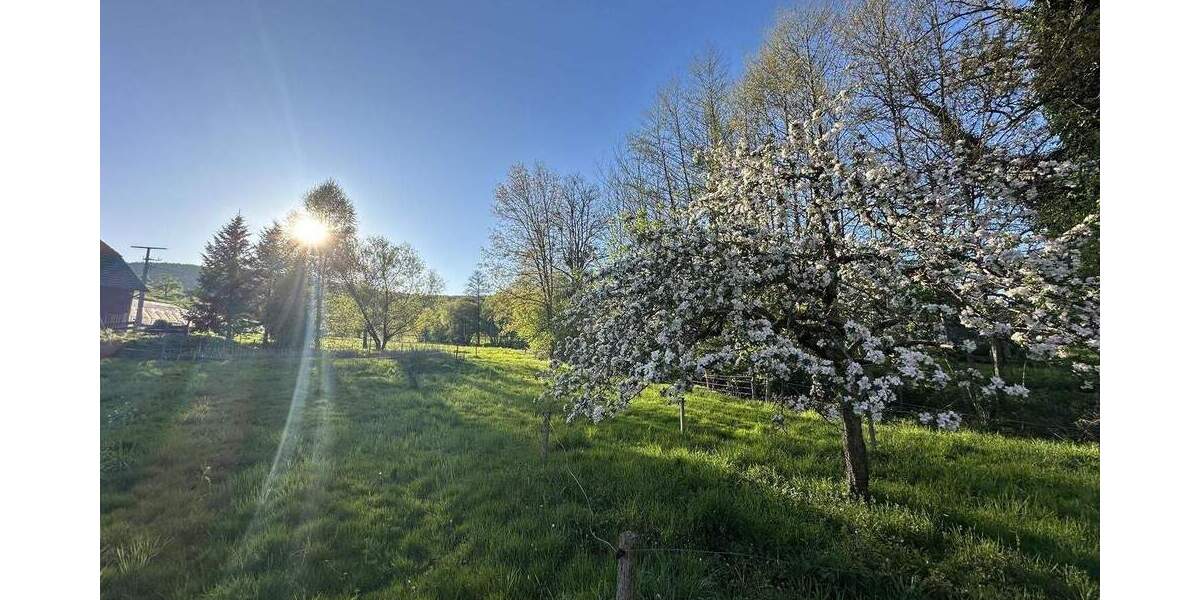 Grundstück Schuttertal - 450.000&euro; | Angebot:25707701