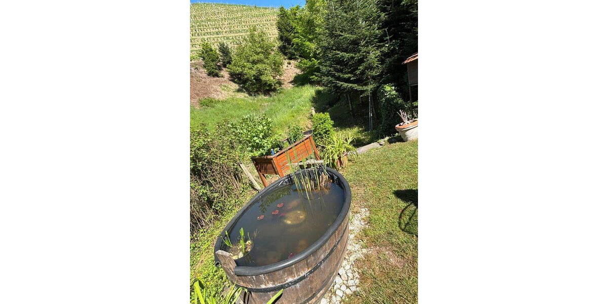 Mehrfamilienhaus, Wohnhaus Oberkirch / Bottenau Bottenau - 1 Zimmer, 296 m&sup2;, 595.000&euro; | Angebot:26040840