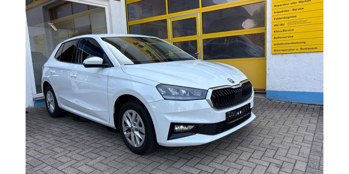 Skoda Fabia 82.000 km 15.580 &euro; Lahr 77933