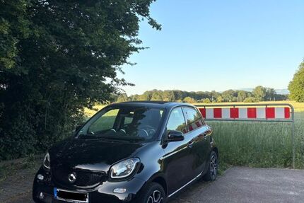 Smart ForFour 82.000 km 9.999 &euro; Kehl 77694