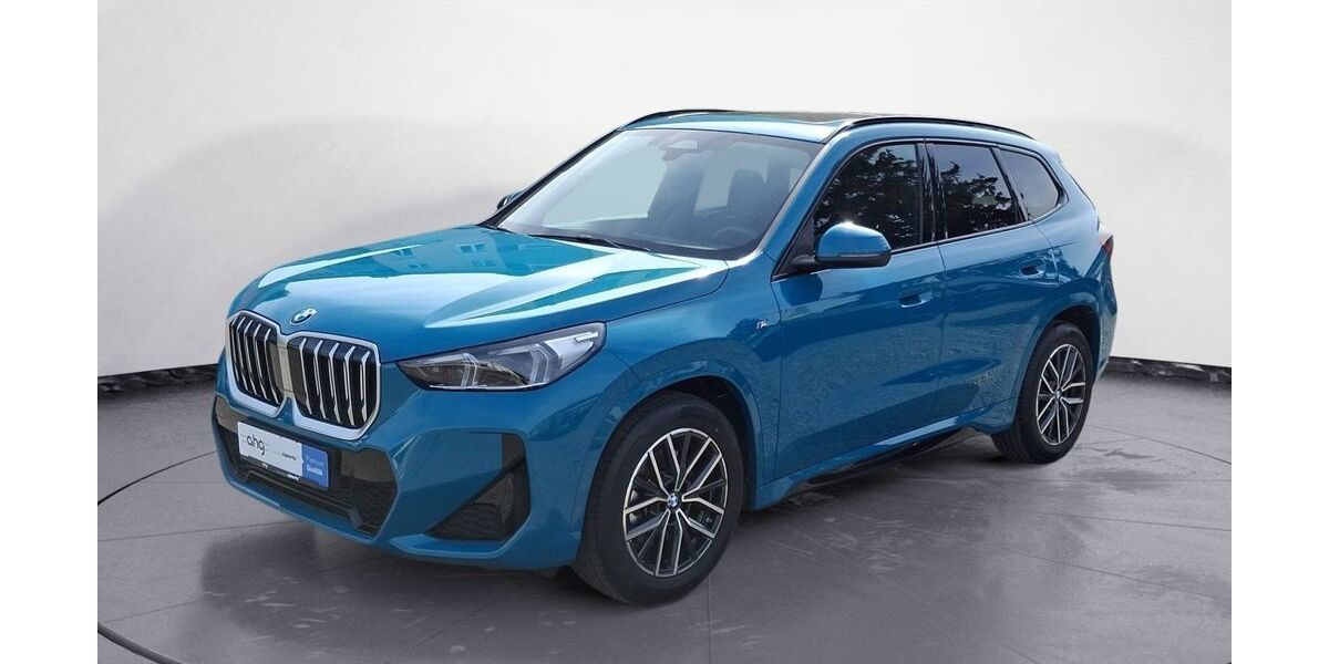 BMW X1 13.790 km 39.950 &euro; Lahr 77933