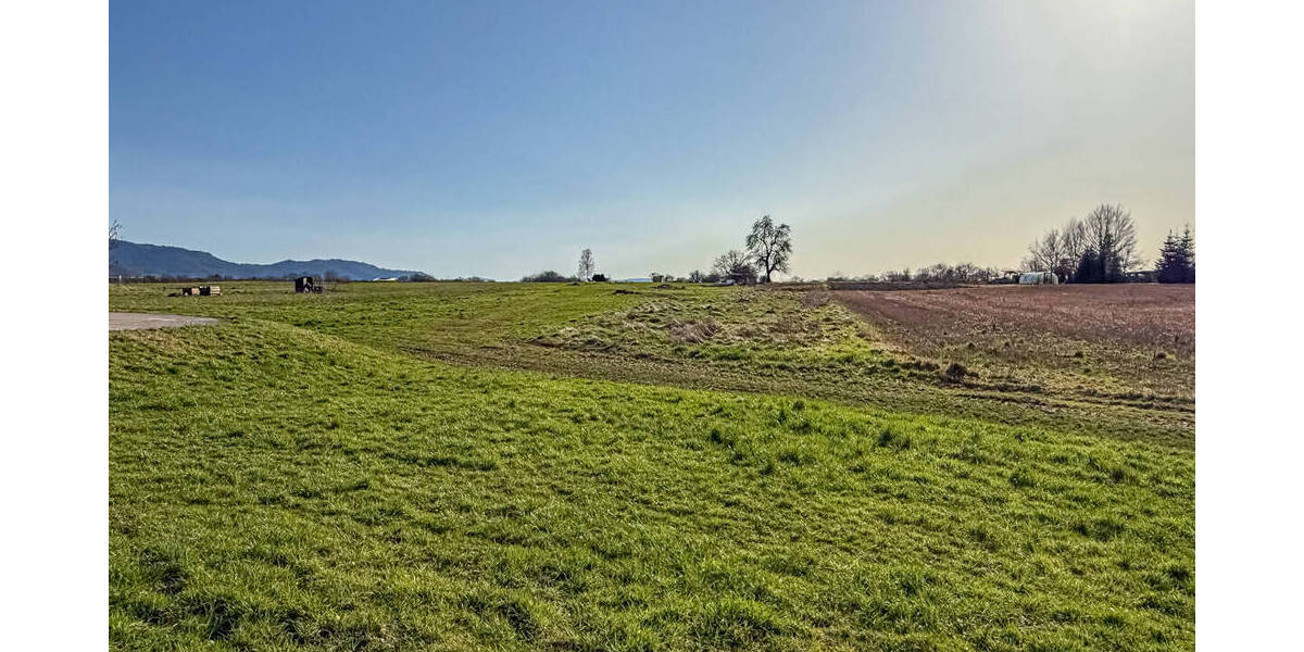 Einfamilienhaus Appenweier - 5 Zimmer, 164 m&sup2;, 650.000&euro; | Angebot:26117979