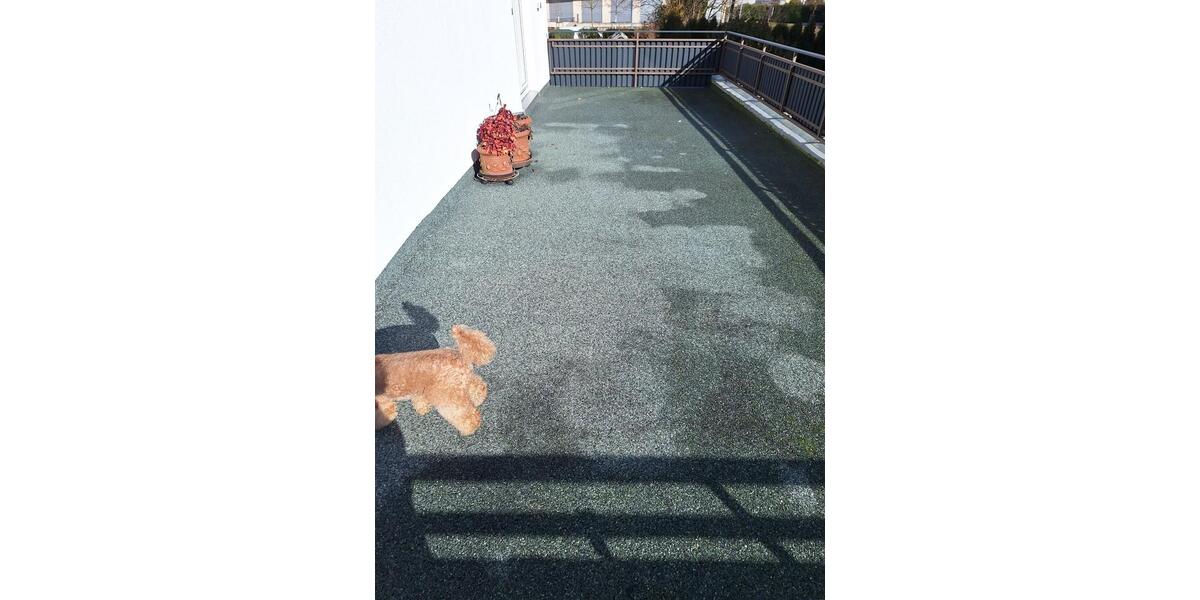 Mehrfamilienhaus, Wohnhaus Offenburg Rammersweier - 4 Zimmer, 102 m&sup2;, 430.000&euro; | Angebot:24769264