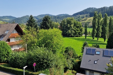 Geräumiges, günstiges 3 Mehrfamilienhaus in Zell am Harmersbach - Haus Zell am Harmersbach Unterharmersbach | Angebot:22254961