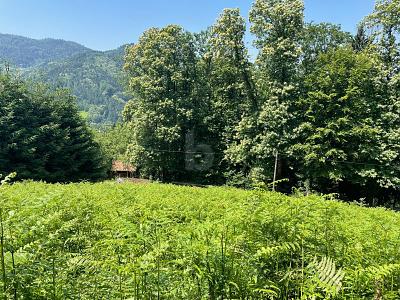 ERSCHAFFEN SIE IHREN WOHNTRAUM IM GRÜNEN - Grundstück Ottenhöfen im Schwarzwald | Angebot:26981928