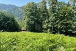 ERSCHAFFEN SIE IHREN WOHNTRAUM IM GRÜNEN - Grundstück Ottenhöfen im Schwarzwald | Angebot:26981928