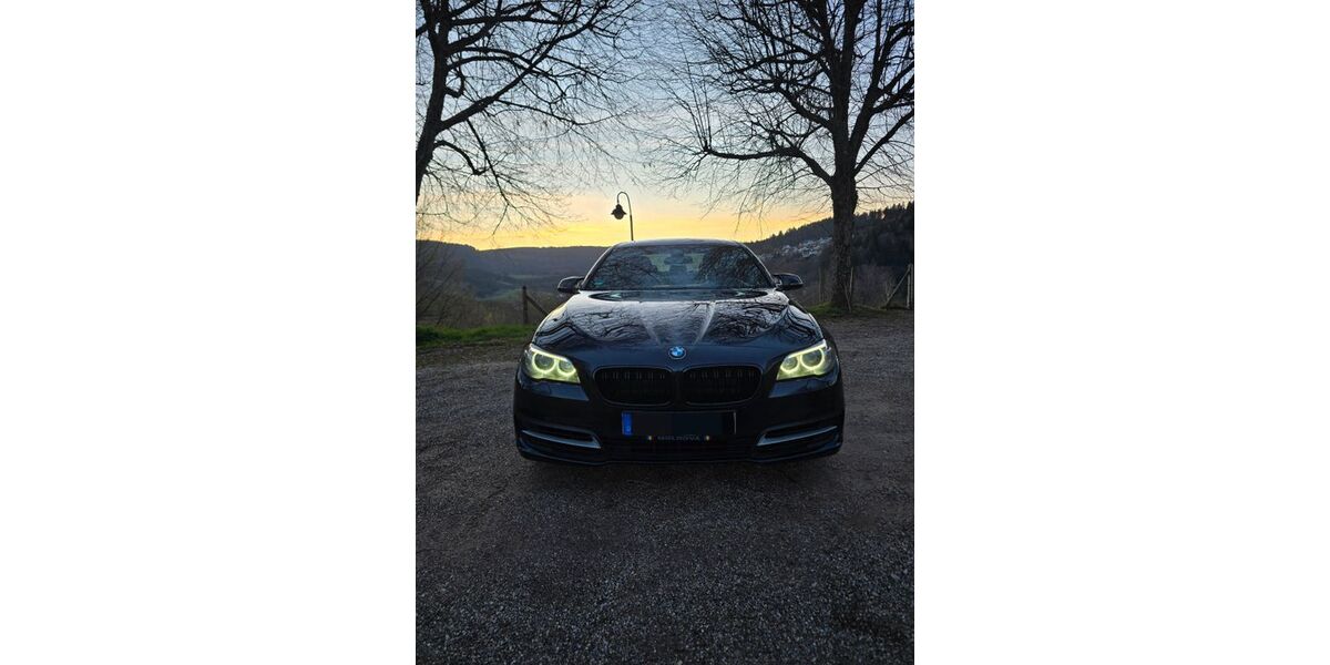 BMW 525 257.729 km 8.000 &euro; Bad Peterstal 77740