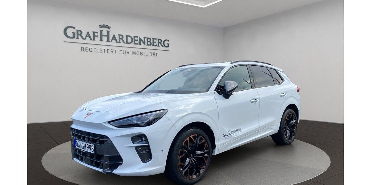 Cupra Terramar 7.500 km 48.790 &euro; Offenburg 77652